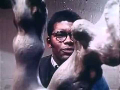 Watch This Incredible Movie: Five African American Artists (1971)
